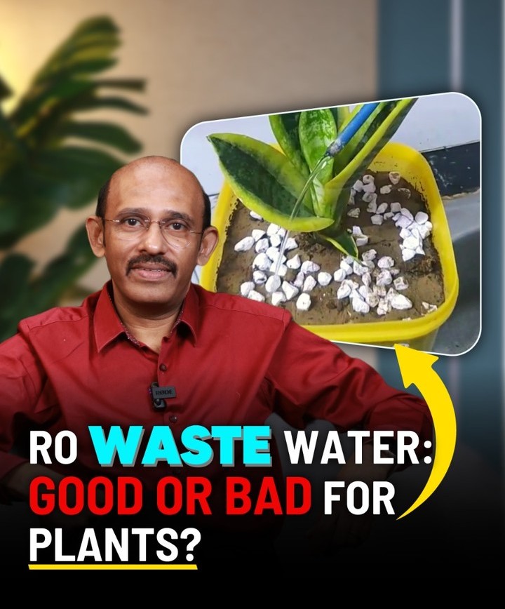 RO waste water: Good or Bad for plants?